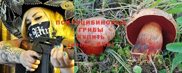 метадон Богородицк