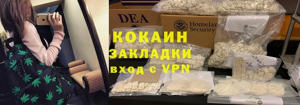 ГАЛЛЮЦИНОГЕННЫЕ ГРИБЫ Бородино